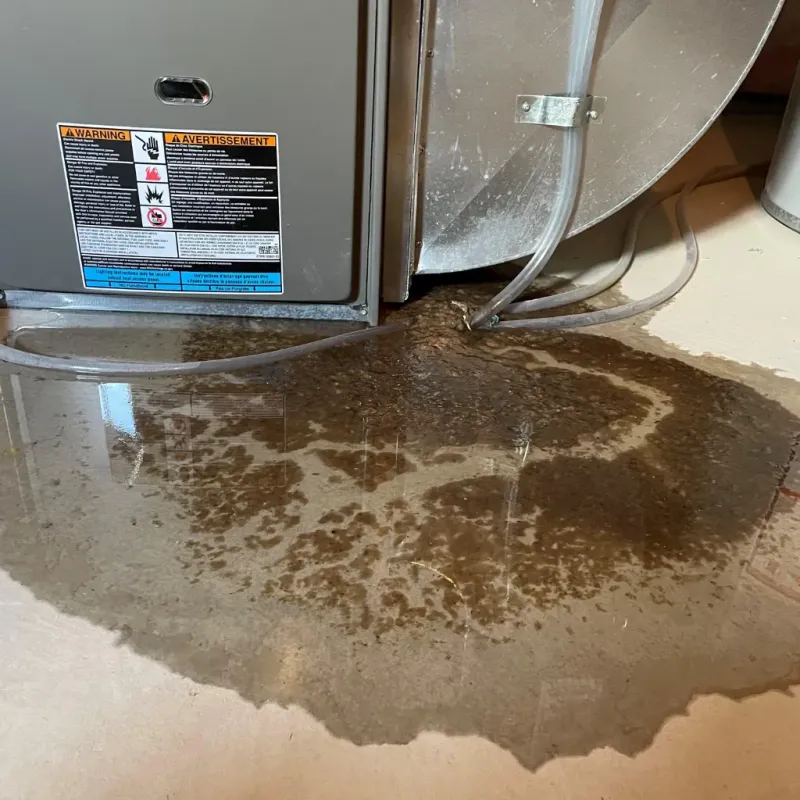 Appliance Leak Cleanup in Brewton, AL